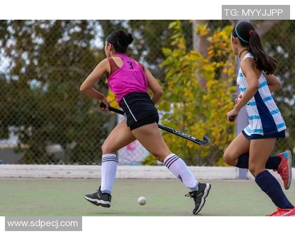 mk体育持续稳定表现的深度分析与未来发展趋势探讨 mk体育持续稳定表现的深度分析与未来发展趋势探讨