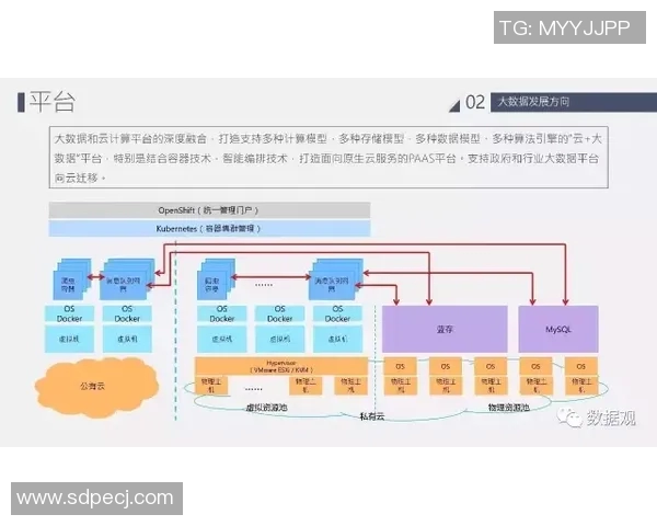 mk体育阶段协同表现总结与未来发展方向的深入探讨与分析