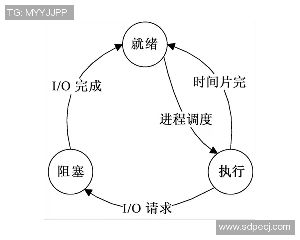 比赛进程中的瞬息万变与策略调整探讨