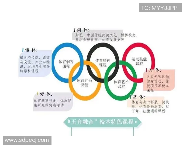 构建高效体育管理体系的mk体育策略框架探讨与实践应用分析 构建高效体育管理体系的mk体育策略框架探讨与实践应用分析