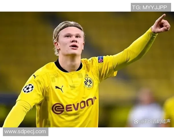 哈兰德帽子戏法引领MK体育聚焦足球盛宴精彩回顾与分析