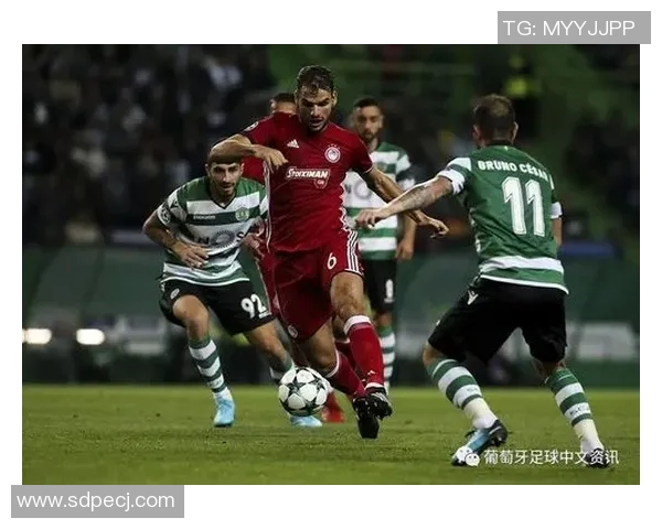 多联赛数据汇总分析与趋势探讨助力体育决策与投资策略优化 多联赛数据汇总分析与趋势探讨助力体育决策与投资策略优化