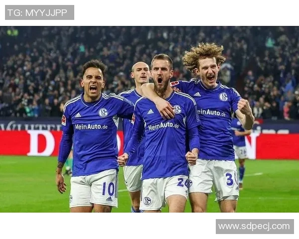 勒沃库森主场胜沙尔克04，德甲赛场连胜保持不败统治力